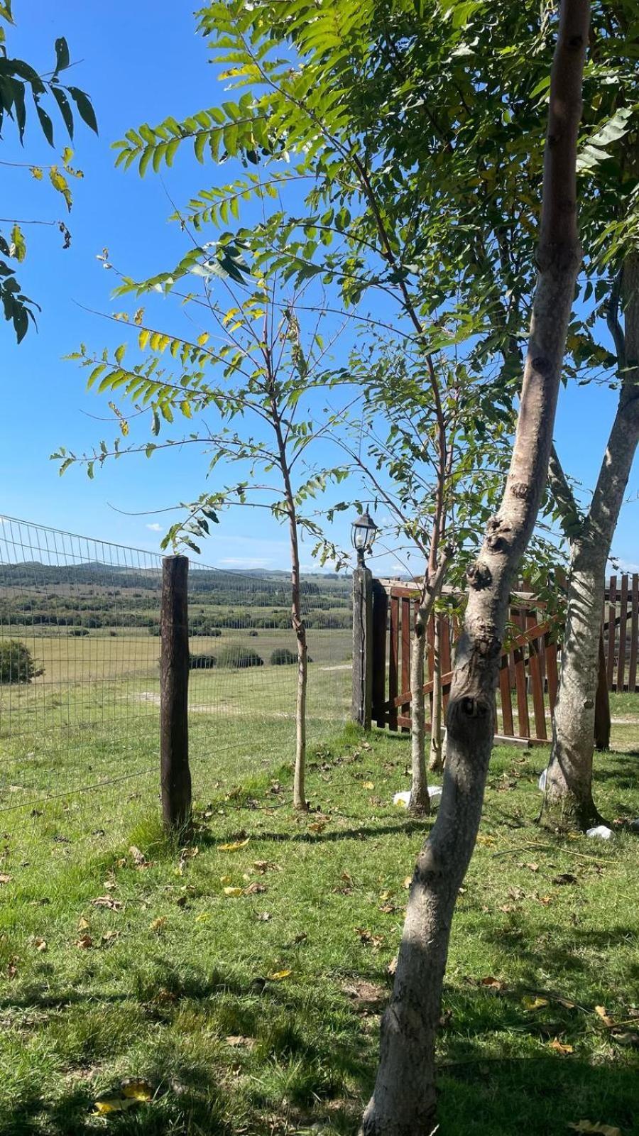 La Chacra Guest House Minas Exterior photo